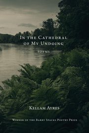 In the Cathedral of My Undoing, Ayres Kellam