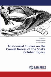 Anatomical Studies on the Cranial Nerves of the Snake Coluber rogersi, Omar Amel