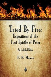 Tried By Fire, Meyer F B