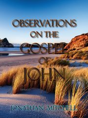Observations on the Gospel of John, Mitchell Jonathan Paul