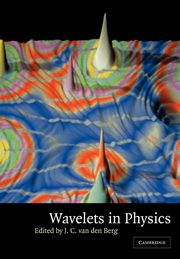 Wavelets in Physics, 