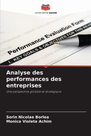 Analyse des performances des entreprises, Borlea Sorin Nicolae