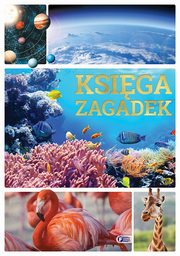 Ksiga zagadek, 