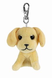 Lumo Golden retriever Molly mini, 