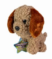 Lumo Labradoodle Poppy classic, 