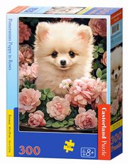 Puzzle 300 Pomeranian Puppy in Roses, 