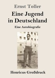 Eine Jugend in Deutschland (Grodruck), Toller Ernst