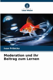 Moderation und ihr Beitrag zum Lernen, Pribicko Ivan