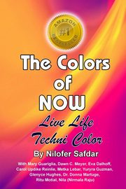 The Colors Of Now, Safdar Nilofer