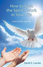 How to Spot the Spirit's Work in Your Life, Luecke David S.