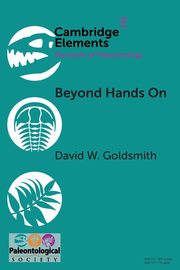 Beyond Hands On, Goldsmith David W.