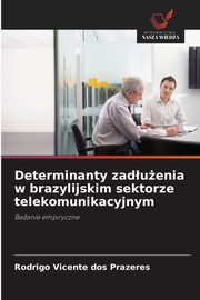 Determinanty zaduenia w brazylijskim sektorze telekomunikacyjnym, Vicente dos Prazeres Rodrigo