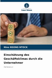 Einschtzung des Geschftsklimas durch die Unternehmer, NSONG NTOCK Nino