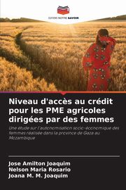 Niveau d'acc?s au crdit pour les PME agricoles diriges par des femmes, Joaquim Jose Amilton
