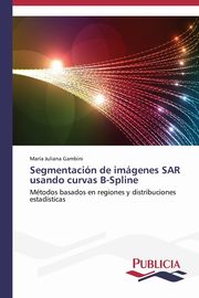 Segmentacin de imgenes SAR usando curvas B-Spline, Gambini Mara Juliana