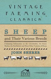 Sheep and Their Various Breeds - Containing Information on the Lincolnshire, the Saxon Merino, the Southdown and Many Other Varieties of Sheep, Sherer John