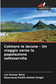 Colmare le lacune - Un viaggio verso la popolazione sottoservita, Niraj Lav Kumar