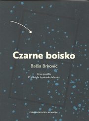 ksiazka tytu: Czarne boisko autor: Brkovic Balsa