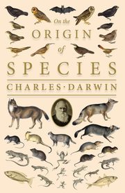 On the Origin of Species;Or; The Preservation of the Favoured Races in the Struggle for Life, Darwin Charles