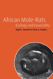 African Mole-Rats, Bennett Nigel C.