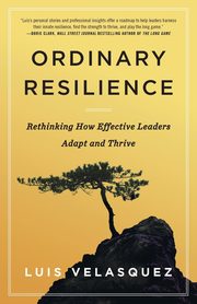 Ordinary Resilience, Velasquez Luis