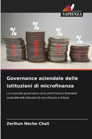 Governance aziendale delle istituzioni di microfinanza, Chali Zerihun Necho