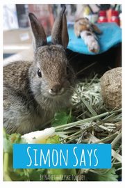 Simon Says, Kryske Towsley Nanette