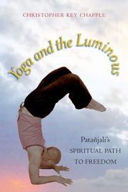 Yoga and the Luminous, Chapple Christopher Key