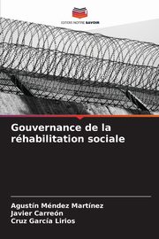 Gouvernance de la rhabilitation sociale, Mndez Martnez Agustn