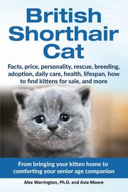 British Shorthair Cat, Warrington Ph.D. Alex