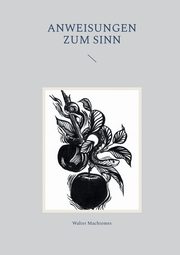 Anweisungen zum Sinn, Machtemes Walter