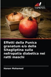 Effetti della Punica granatum e/o della Sitagliptina sulla nefropatia diabetica nei ratti maschi, Mohamed Hanan