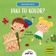 Odkrywam wiat. Jaki to kolor?, Modnicka Magdalena
