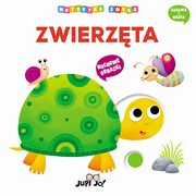 Zwierzta Motoryka smyka, Nigelli Benedetta