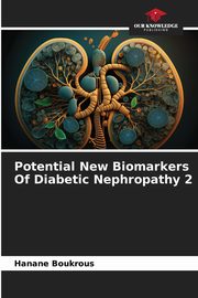 Potential New Biomarkers Of Diabetic Nephropathy 2, Boukrous Hanane
