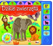 Odkrywam dwiki Dzikie zwierzta, Kwieciska Mirosawa