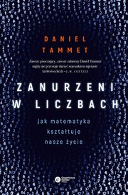 Zanurzeni w liczbach, Tammet Daniel