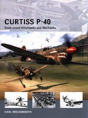Curtiss P-40, Molesworth Carl