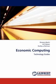 Economic Computing, Bashir Rizwana