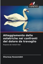 Atteggiamento delle ostetriche nei confronti del dolore da travaglio, Hawamdeh Shurouq