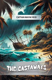 The Castaways, Reid Captain Mayne
