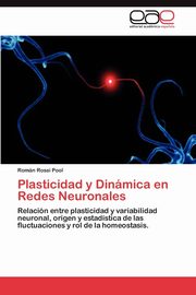 Plasticidad y Dinamica En Redes Neuronales, Rossi Pool Rom N.