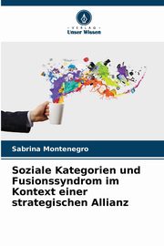 Soziale Kategorien und Fusionssyndrom im Kontext einer strategischen Allianz, Montenegro Sabrina