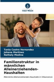 ksiazka tytu: Familienstruktur in mnnlichen Alleinerziehenden-Haushalten autor: Castro Hernandez Tania