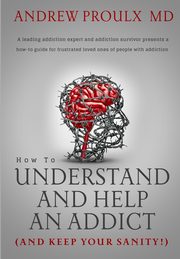 How to Understand and Help an Addict (and keep your sanity), Proulx Andrew