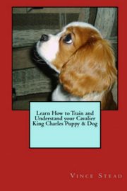 Learn How to Train and Understand Your Cavalier King Charles Puppy & Dog, Stead Vince