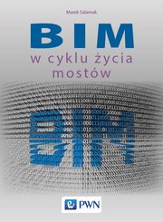 BIM w cyklu ycia mostw, Salamak Marek