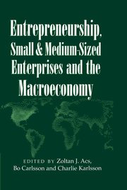 Entrepreneurship, Small and Medium-Sized Enterprises and the Macroeconomy, 
