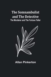 The Somnambulist and the Detective; The Murderer and the Fortune Teller, Pinkerton Allan
