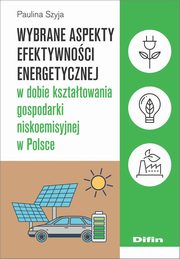 Wybrane aspekty efektywnoci energetycznej w dobie ksztatowania gospodarki niskoemisyjnej w Polsce, Szyja Paulina